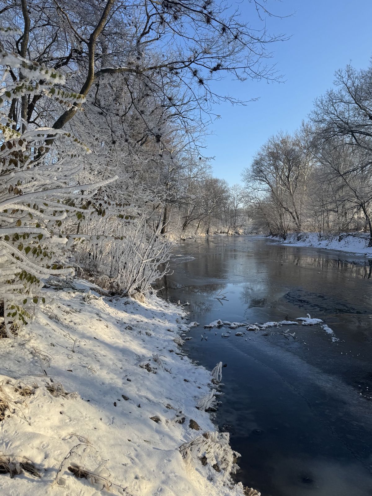 A frozen river lined with frost-covered trees under a clear blue winter sky.